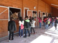 Vinhais-7,8-03-14 (143)